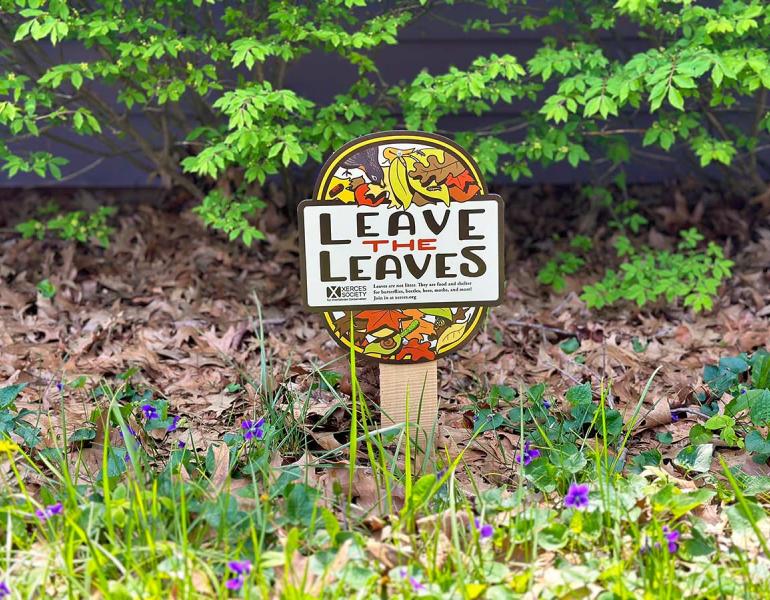A sign reads "Leave the Leaves" surrounded by violets, leaf litter, and shrubbery
