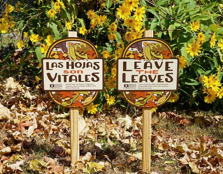 Xerces yard signs in front of a home garden, with fallen leaves on the ground. One reads "Leave the Leaves", while the second, in Spanish, reads "Las Hojas son Vitales".