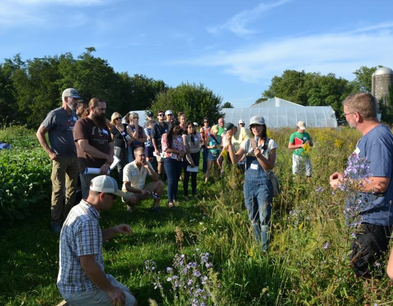A group of farmers stand between a crop field and flowering meadow listening to a presenter speaking about how to plan habitat for insects.