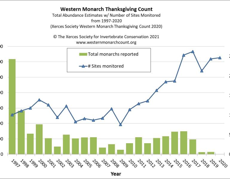 "Western Monarch Thanksgiving Count Data 1997-2020 shows that despite a strong volunteer effort, monarch numbers are at the lowest point recorded since the count started in 1997"