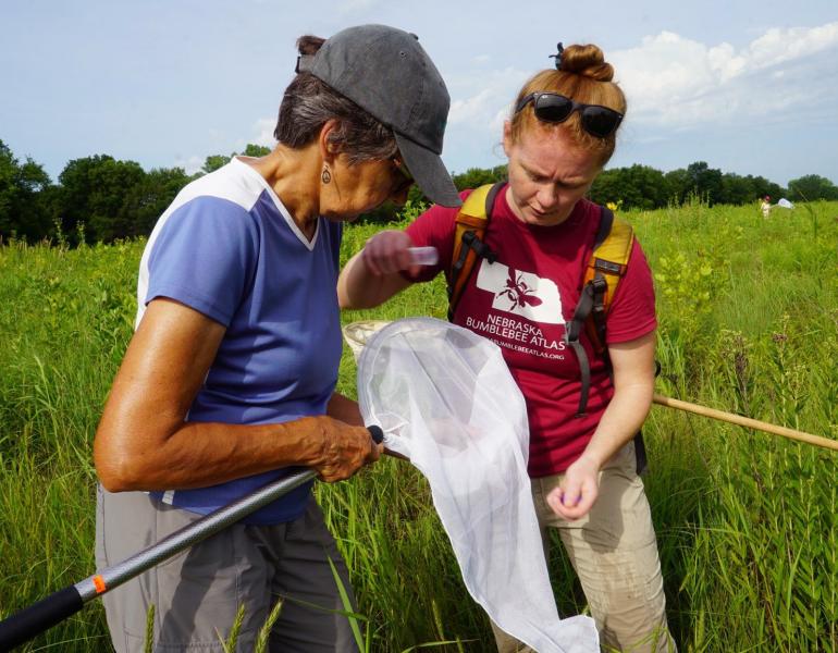 Two women, one with dark hair and a hat, and one with bright red hair, look at a white insect net while standing in a grassy field.