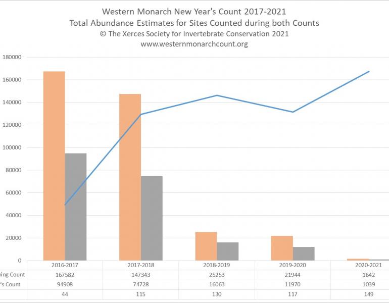 Graph showing results from surveys of overwintering monarchs in California. The number of monarchs has fallen for several years, so the height of the bars gets shorter and shorter to the right of the graph