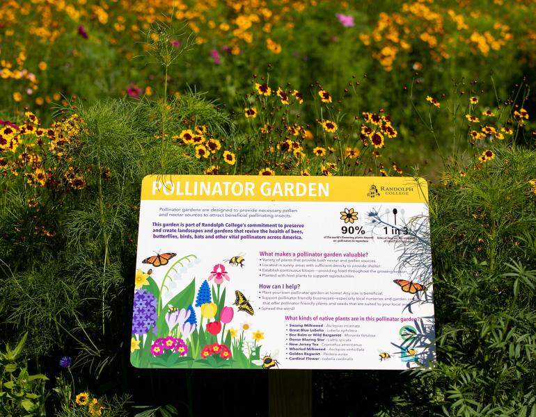 A pollinator garden full of yellow-and-red and pink flowers. In the center is a sign that says "Pollinator Garden" and has colorful illustrations of flowers, butterflies, and bees.