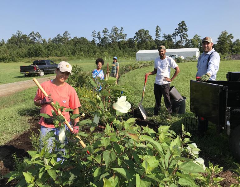 A small group of young men and women work with shovels and other tools to care for a hedgerow