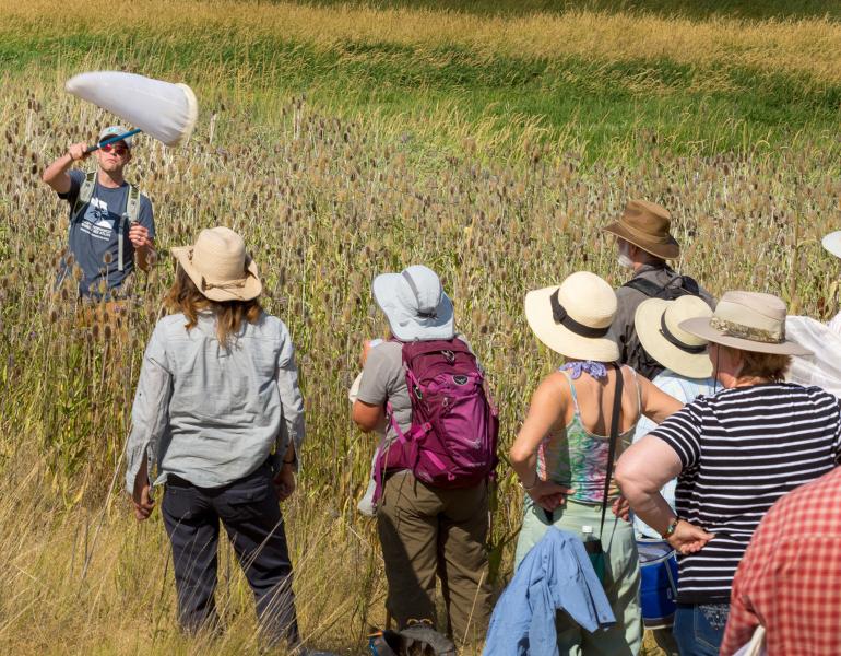 A group of people wearing wide-brimmed hats stand with their backs to the camera, watching a man standing waist-deep in grass and flowers swings a white butterfly net.