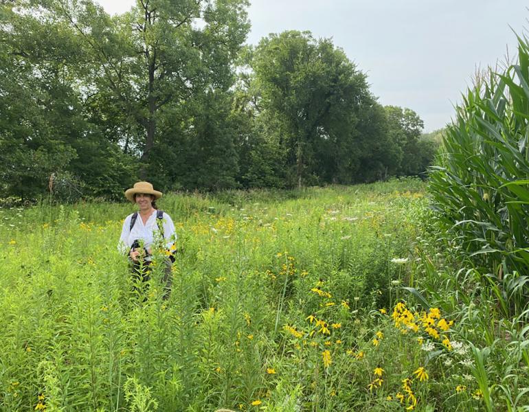 A women wearing a shite shite and a straw hat stands in a meadow, with plants and yellow flowers up to her waist. Behind her a line of tall trees with green leaves stretches into the distance.