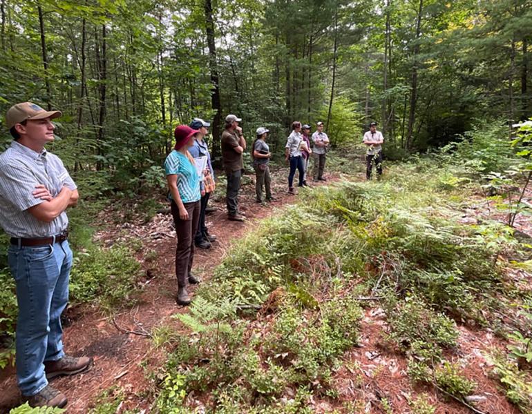 A group of people stand in the forest at Branch Hill Farm