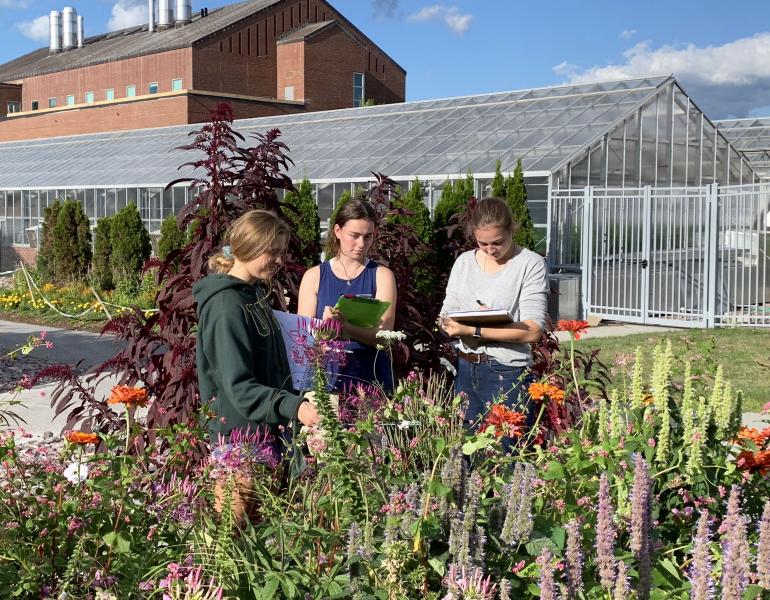 A group of three college students with clipboards watch carefully for bees beside a flower-rich garden.