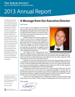 2013 annual report