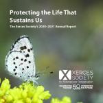 A white butterfly with black speckles resting on a yellow flower.