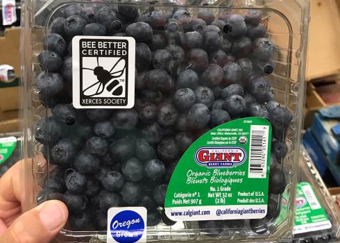 A plastic container of blueberries at a grocery store. The packaging is labeled with the Bee Better Certified seal. 