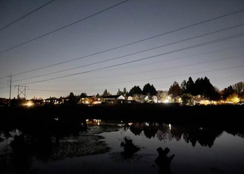 Looking from a wetland and natural area in a park out into the surrounding streets. Many of the houses have unnecessary lighting in their backyards that throw light far into the wetlands. Instead of darkness, the sky behind the lights is a bright grey, blocking out all but the brightest stars, which are just barely visible. 