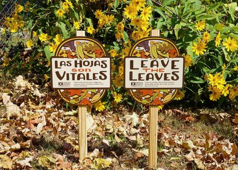 Xerces yard signs in front of a home garden, with fallen leaves on the ground. One reads "Leave the Leaves", while the second, in Spanish, reads "Las Hojas son Vitales".