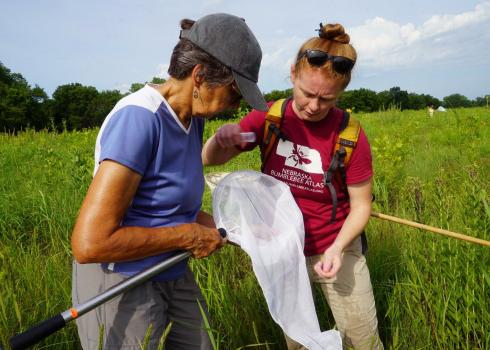 Two women, one with dark hair and a hat, and one with bright red hair, look at a white insect net while standing in a grassy field.