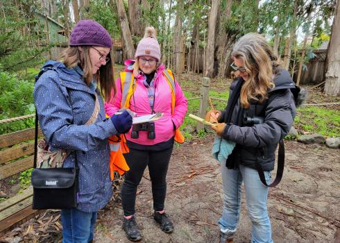 Volunteers count monarchs in Pacific Grove Monarch Butterfly Sanctuary, December 2021 (Photo: Candy Sarikonda)