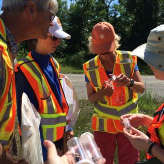volunteers at survey