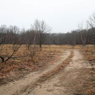 wallingford sand plains
