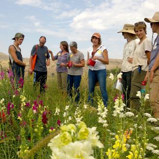 A group of people gather around a patch of blooming pollinator plants.