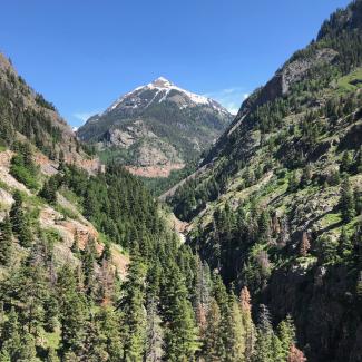 Rugged mountains and pine trees, some reddish brown and some green, are shown in this Colorado landscape.