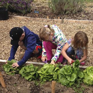 Children tend plantings in a raised bed.