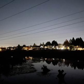 Looking from a wetland and natural area in a park out into the surrounding streets. Many of the houses have unnecessary lighting in their backyards that throw light far into the wetlands. Instead of darkness, the sky behind the lights is a bright grey, blocking out all but the brightest stars, which are just barely visible. 