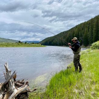 Person fishing with rod on the bank of a stream
