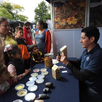  Children cluster around a tabletop display as the author talks with families about pollinators and conservation.