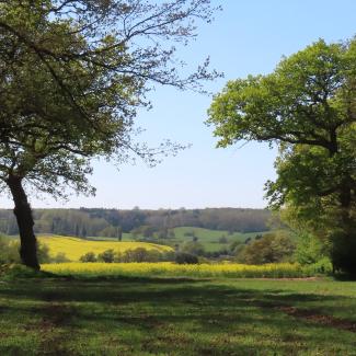 The English countryside is a patchwork of woodlands and farm fields edged by hedgerows.