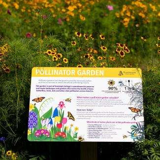 A pollinator garden full of yellow-and-red and pink flowers. In the center is a sign that says "Pollinator Garden" and has colorful illustrations of flowers, butterflies, and bees.