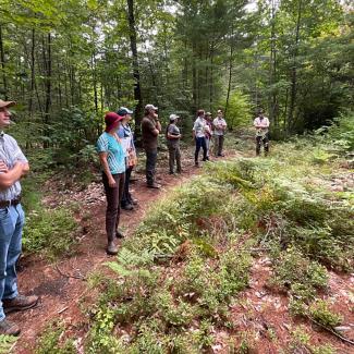 A group of people stand in the forest at Branch Hill Farm