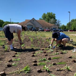Several people planting seedlings in a prepared site in front of a building