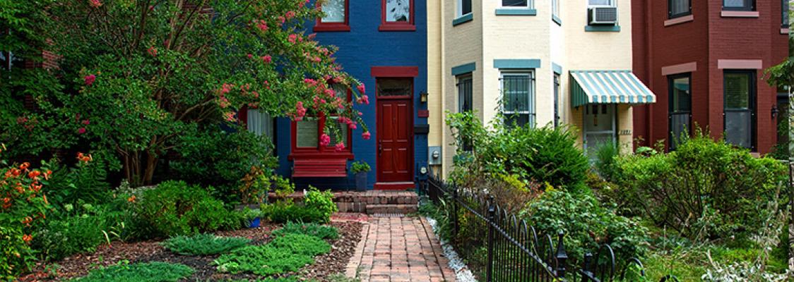 Pesticides in Urban Environments