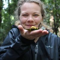 Maddy Kangas - Xerces Society